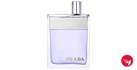 prada amber hombre